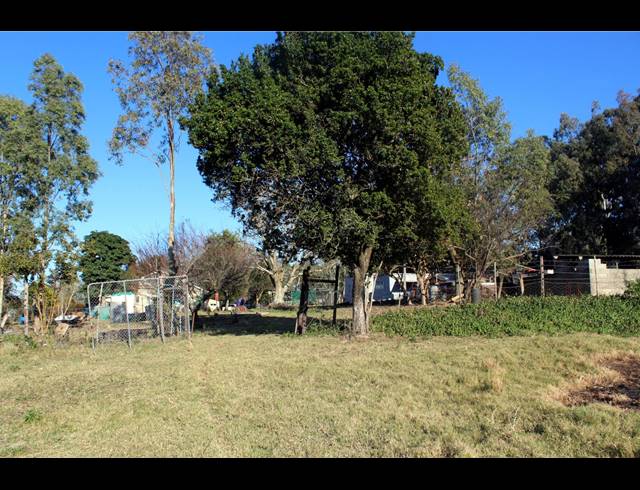 231HA FARM FOR SALE IN EAST LONDON RURAL